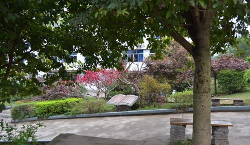 简阳市贾家中学校园长椅
