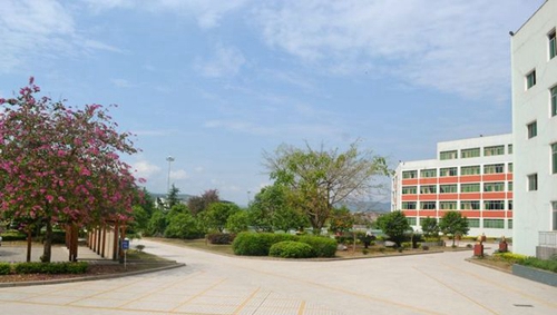 四川省苍溪中学校校园环境1