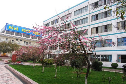 成都市盐道街外语学校校园桃花