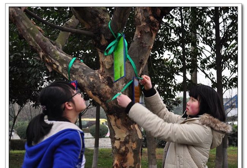成都市盐道街外语学校植树系列活动2