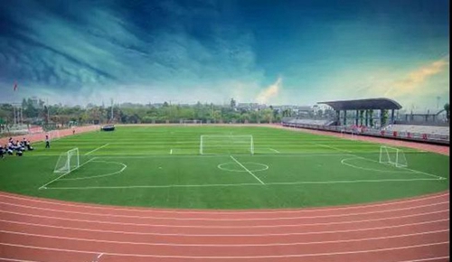 成都市实验外国语学校标准足球场