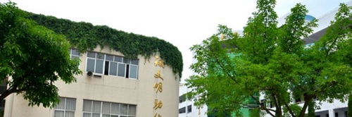 遂宁中学校园一角