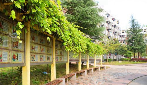 蓬溪中学校园环境3