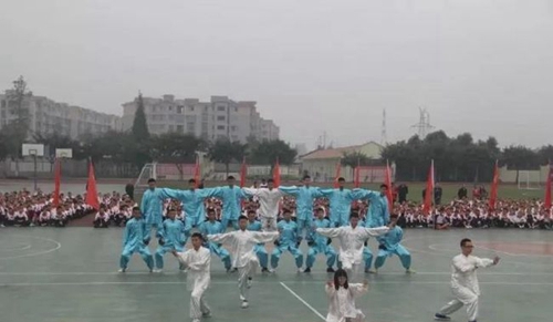 邛崃市强项实验学校武术表演