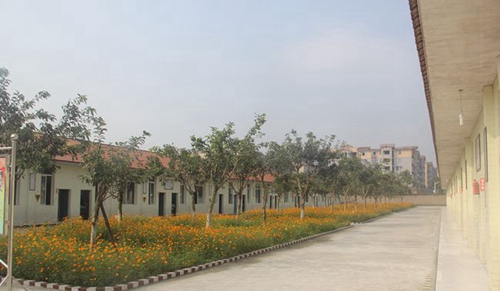 邛崃市强项实验学校校园花坛
