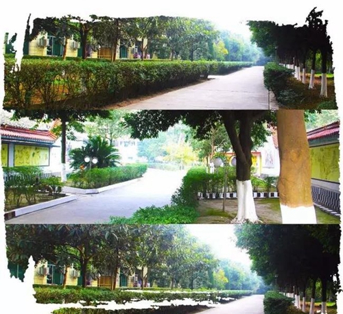 邛崃市强项实验学校校园景色