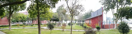 邛崃市强项实验学校校园绿化