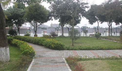 邛崃市强项实验学校校园小道