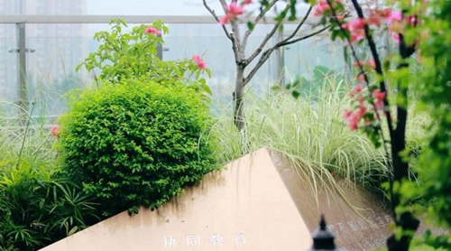 成都石室外语学校校园一角