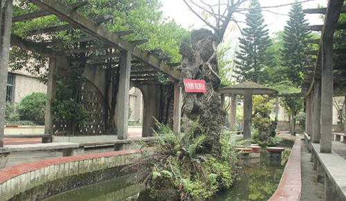 内江铁路中学水池