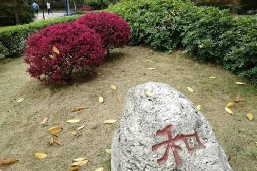 四川省成都市龙泉第二中学草坪一角