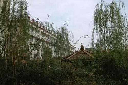 四川省成都市龙泉第二中学校园风景、