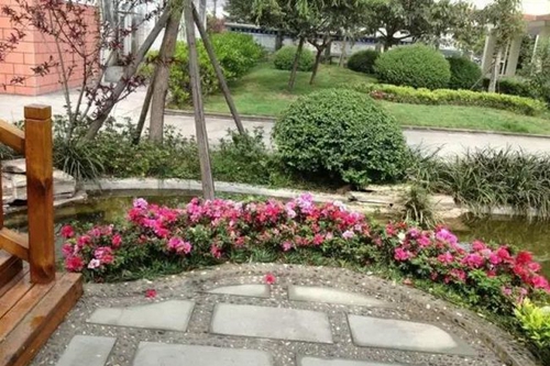 四川省成都市龙泉第二中学校园花开