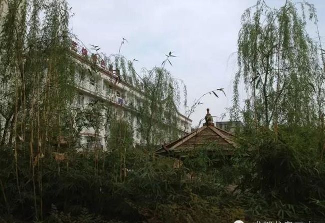 四川省成都市龙泉第二中学校园风景、