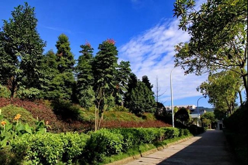 四川省成都市龙泉中学校消防通道