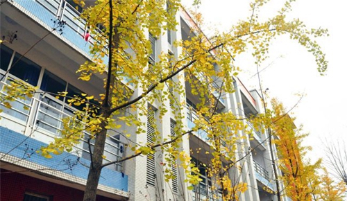 射洪绿然国际学校校园环境2