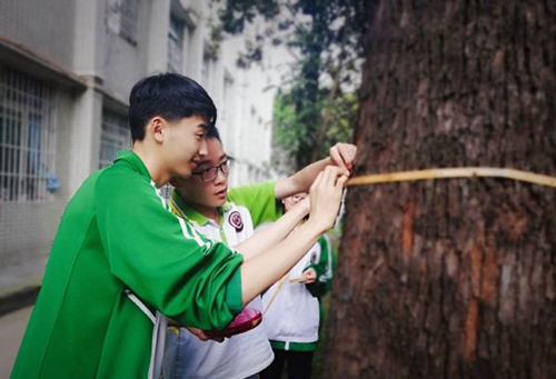 成都新都二中校园景色