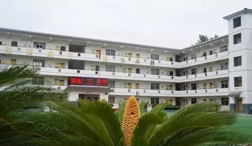 金堂县高板中学校教学楼侧影