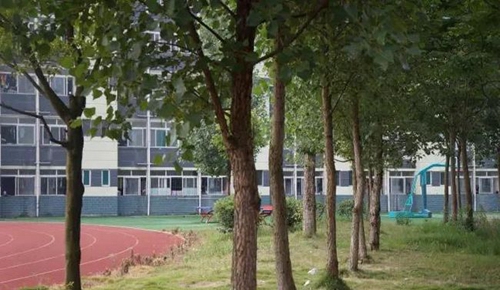 金堂县高板中学校校园树林