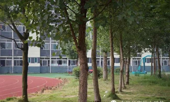 金堂县高板中学校校园树林