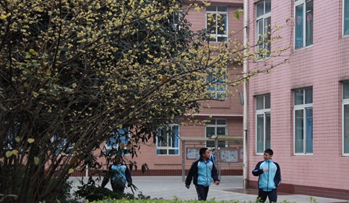 成都市第三十六中学校美丽校园