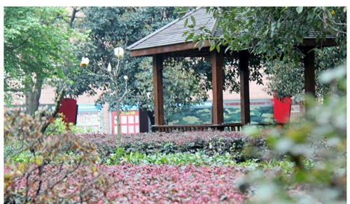 成都市第三十六中学校校园一景