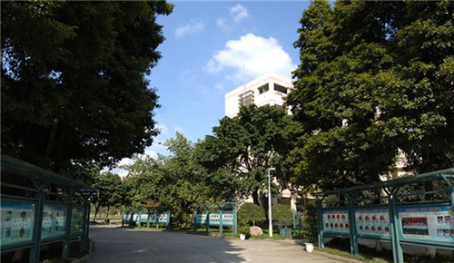 成都温江二中校园展板