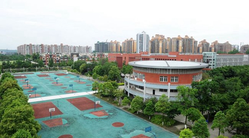 成都市新都香城中学篮球场