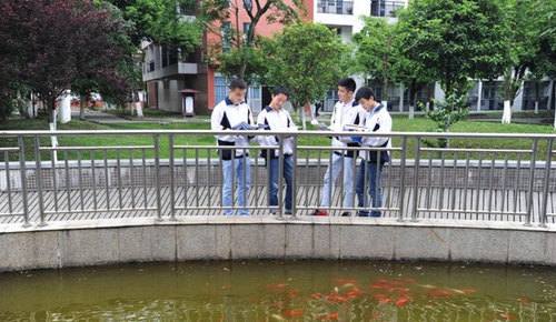 成都市新都香城中学校园时光