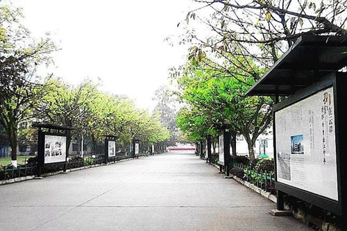 成都市青白江中学校园干道