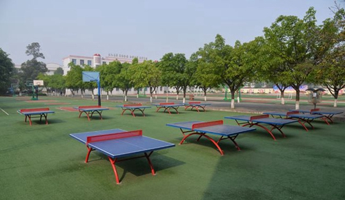 成都市青白江中学校园运动角