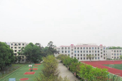 成都市青白江中学学校前视图