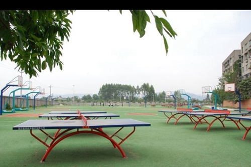 四川省金堂实验中学乒乓球台