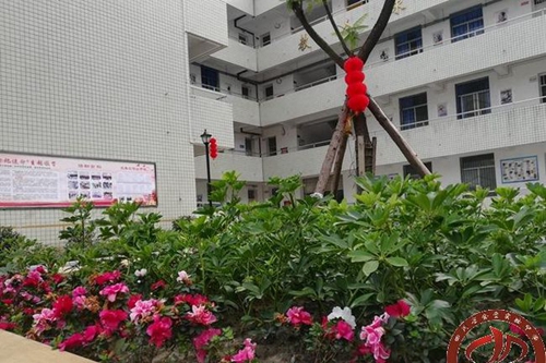 四川省金堂实验中学校园绿化