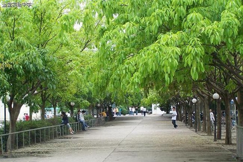 四川省金堂实验中学校园日常