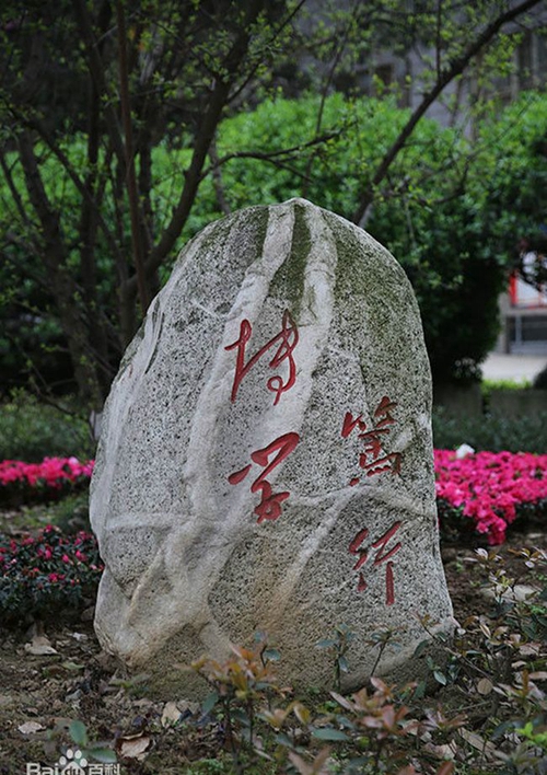 四川省南充市白塔中学假山
