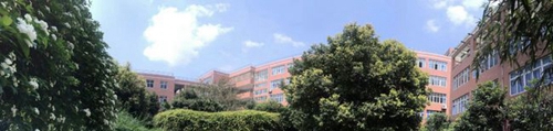 成都八中校园绿化
