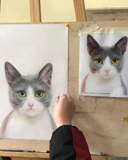 成都美菲林画室学生作品4