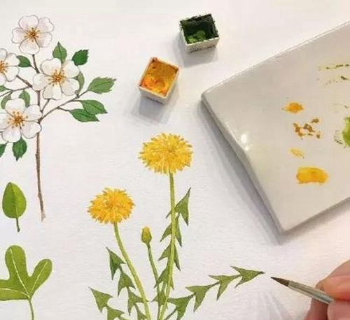 成都柒玖捌(798)画室学生作品3