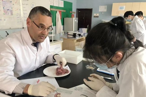 牛津国际公学成都学校生物课堂