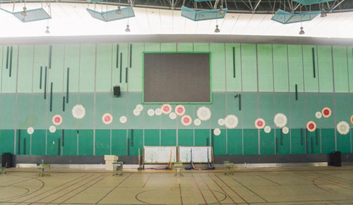 牛津国际公学成都学校体育馆