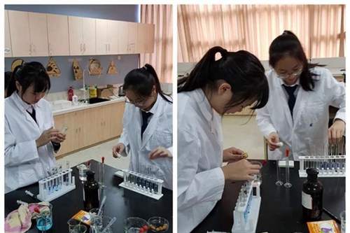 牛津国际公学成都学校学生实验