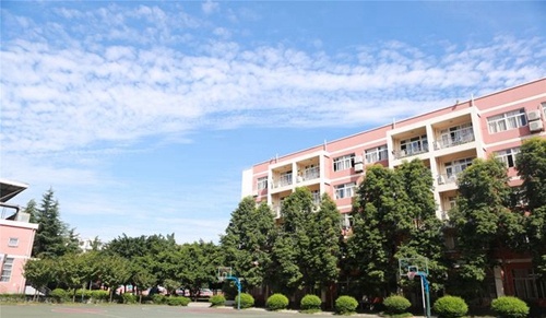 成都七中嘉祥外国语学校国际高中校园篮球场