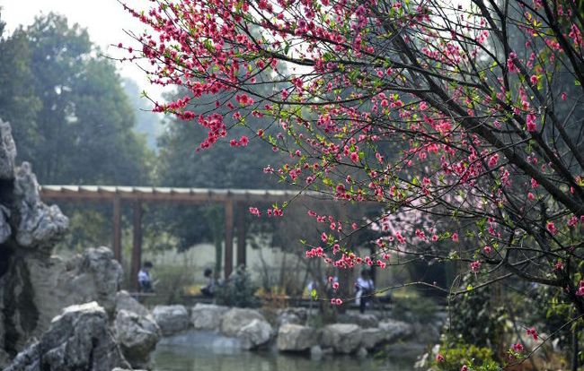 成都外国语学校国际部(AP国际课程)中华园