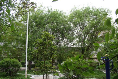 营山县小桥中学花园
