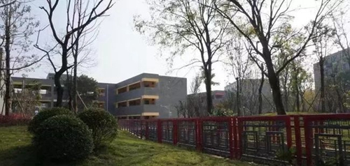 成都绵实外国语学校曲径幽巷