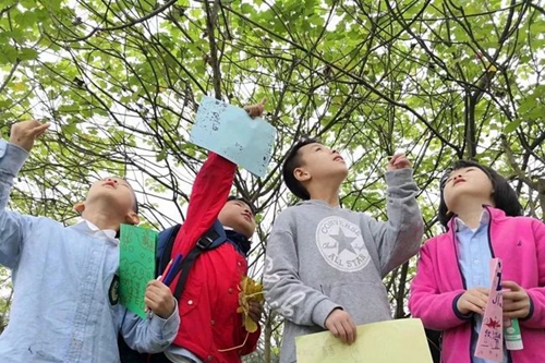彭州市博骏学校踏青
