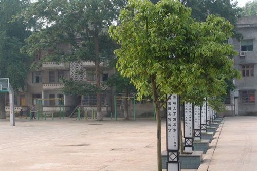 四川省蓬安中学内操场