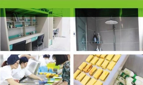 龙泉驿区新格林艺术高级中学后勤保障