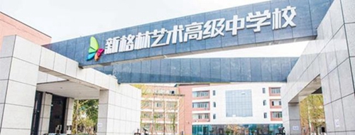 龙泉驿区新格林艺术高级中学校门